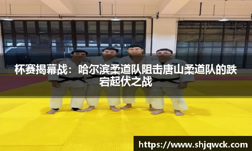 中欧体育平台